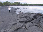 Punalu'u Black Sand Beach