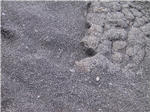 Punalu'u Black Sand Beach