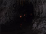 Thurston Lava Tube