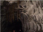 Thurston Lava Tube
