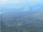 Lava in Forests - South Hawaii
