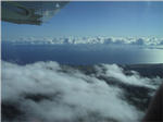 Coast North of Hilo
