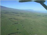 Parker Ranch near Waimea