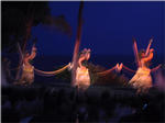 Entertainment at Luau