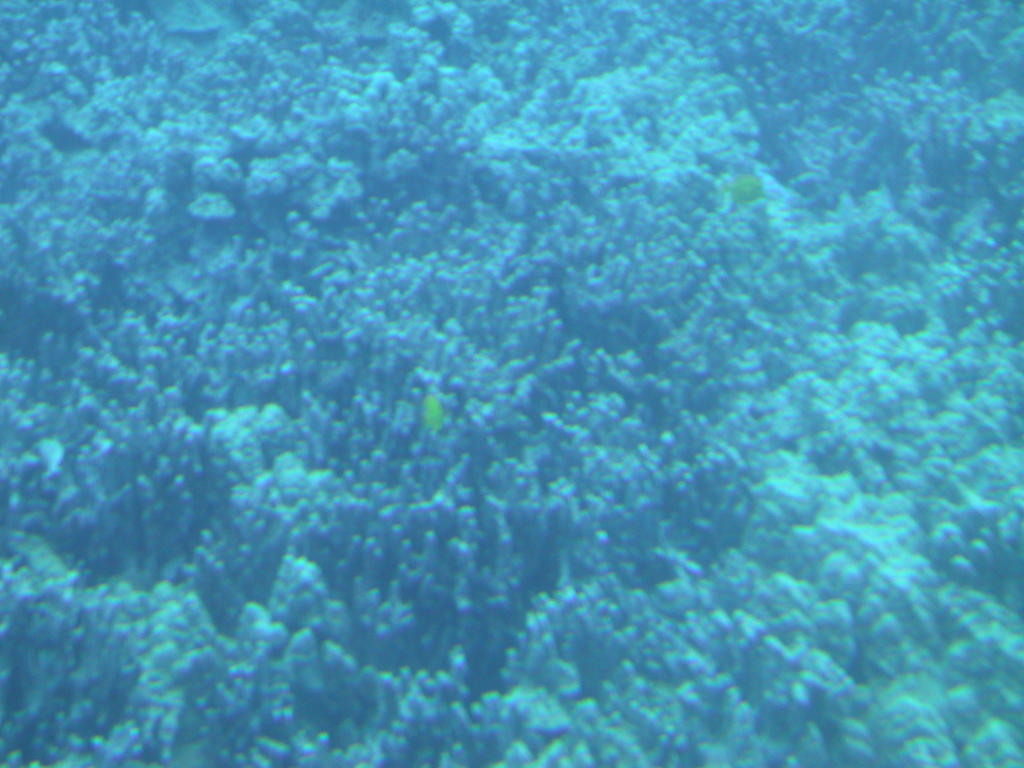 0528-101820.jpg