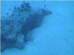 Coral Reef from Submarine at Kailua Kona