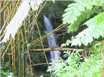 Akaka Falls State Park