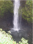 Akaka Falls