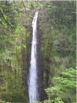 Akaka Falls