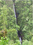 Akaka Falls State Park