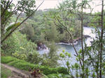 Onomea Bay