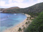 Hanauma Bay - Snorkeling