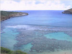 Hanauma Bay - Snorkeling