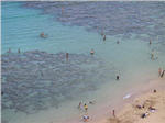 Hanauma Bay - Snorkeling