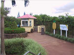 Dole Plantation - World's Largest Maze
