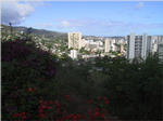 Honolulu from Punchbowl
