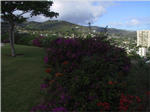 Honolulu from Punchbowl